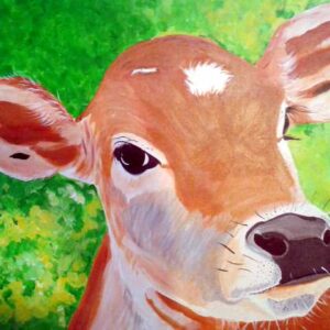Shelby - Animal Place (Card)